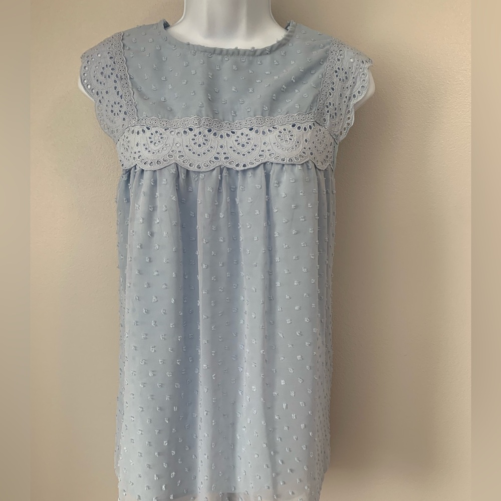Pretty Powder Blue Swiss Dot, Lace Top